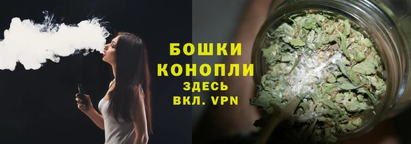 мяу мяу мука Ельня