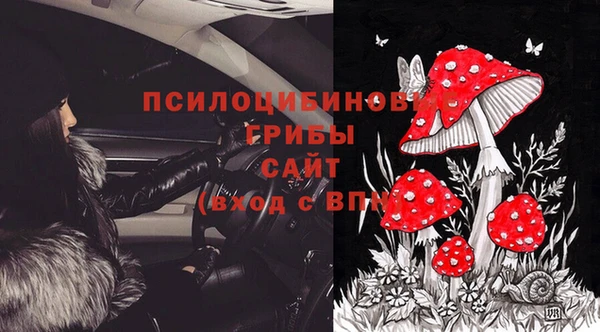 мяу мяу мука Ельня