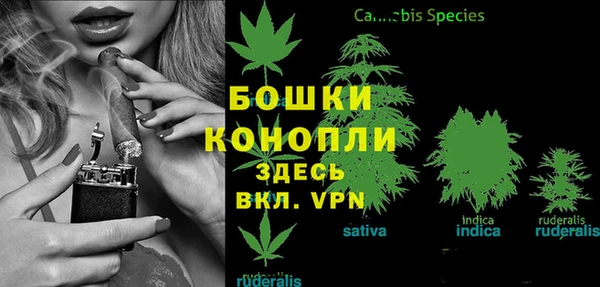 скорость mdpv Елизово