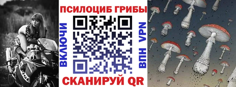 даркнет сайт  Москва  Галлюциногенные грибы Psilocybine cubensis 