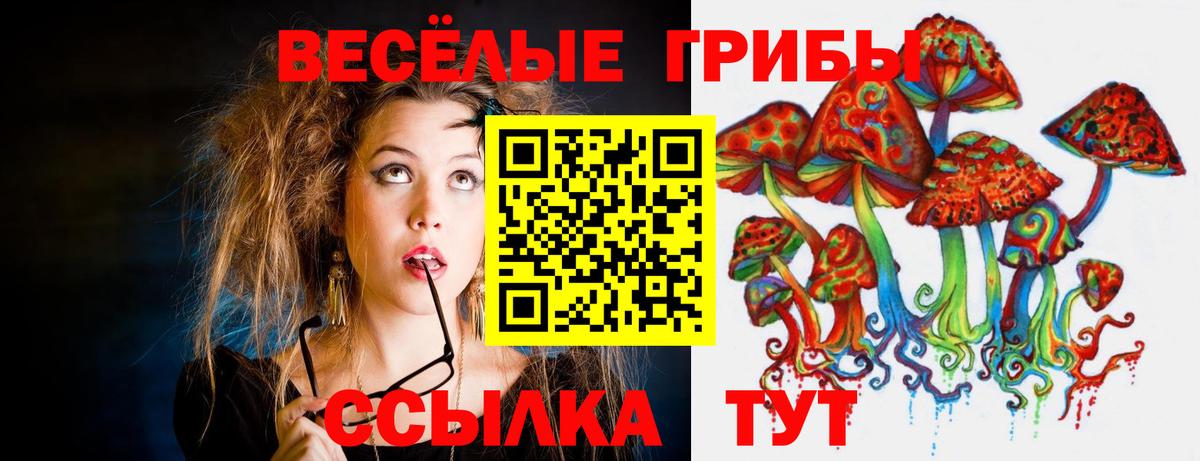 Галлюциногенные грибы Psilocybine cubensis Москва